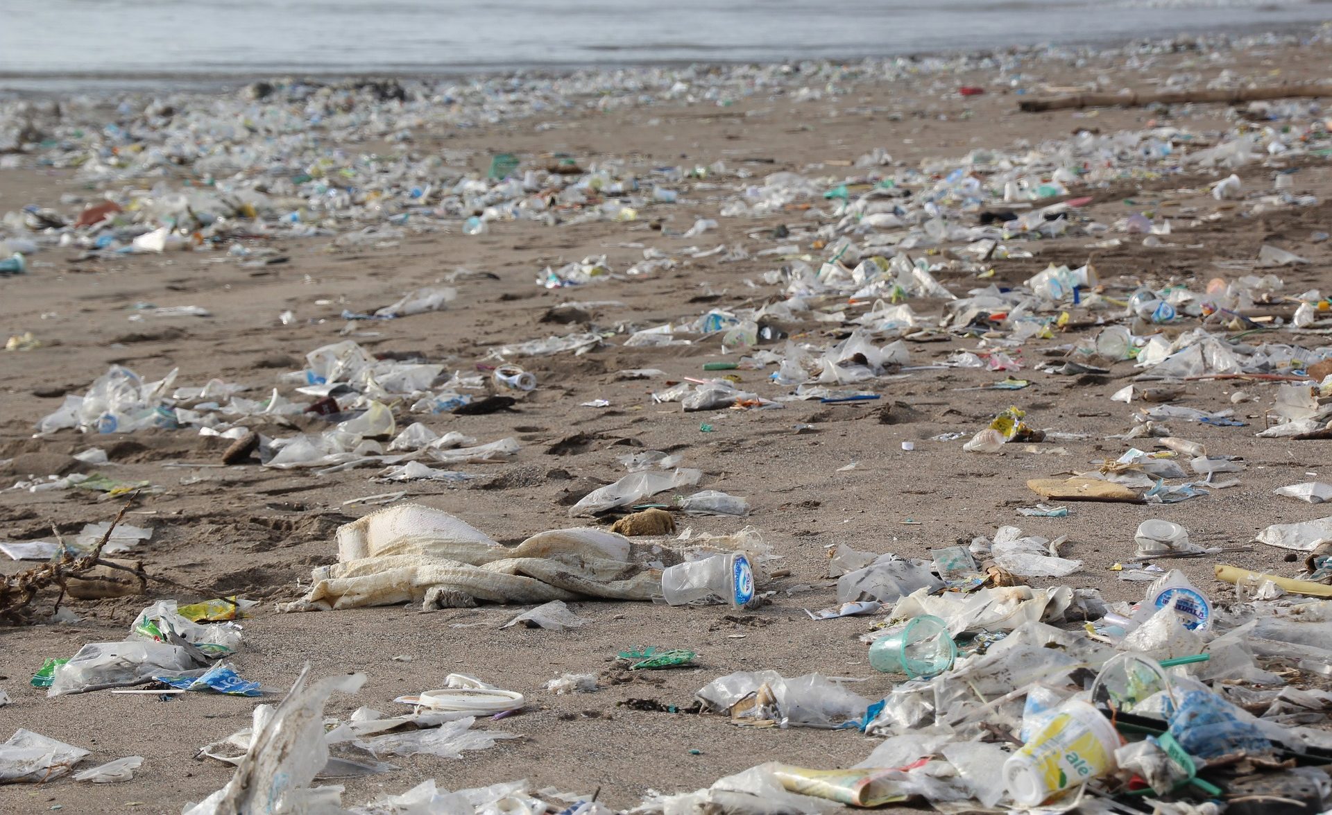 Interdire Le Plastique à Usage Unique Et Appliquer Une Stratégie ...